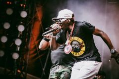 public_enemy-45