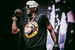 public_enemy-5
