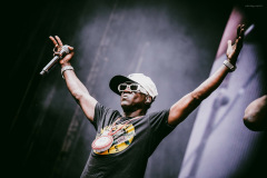 public_enemy-7
