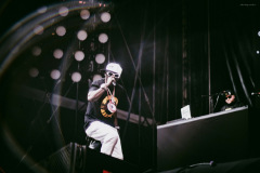 public_enemy-80