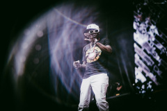 public_enemy-84