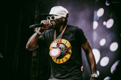 public_enemy-86