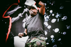 public_enemy-92