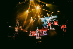 running_wild-9