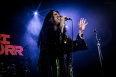 sari-64