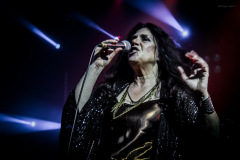 sari-73
