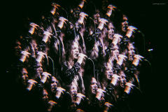 sari2025-113 sari2025-113