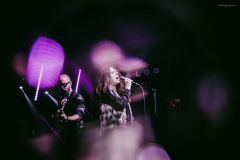 sari2025-115 sari2025-115