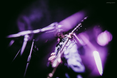 sari2025-116 sari2025-116