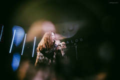 sari2025-119 sari2025-119