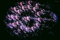 sari2025-22 sari2025-22