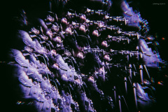 sari2025-48 sari2025-48