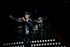 scorpions-12