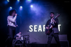seafret-39