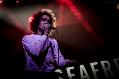 seafret-9