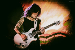 skillet-110