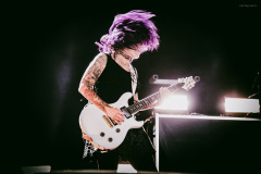 skillet-119