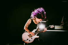 skillet-120