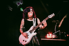 skillet-15