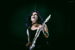 skillet-165