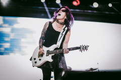 skillet-28