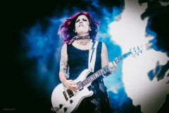 skillet-35