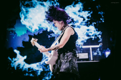 skillet-55