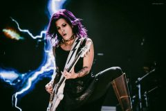 skillet-56