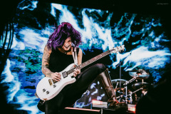 skillet-57