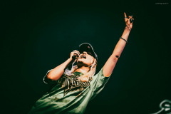 south_arcade-4
