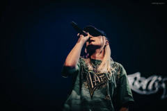 south_arcade-50