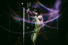 steel_panther-119