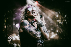 steel_panther-206