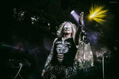 steel_panther-217