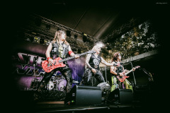steel_panther-227