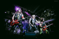 steel_panther-228