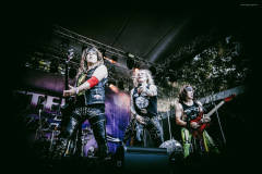 steel_panther-229