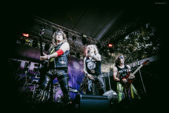 steel_panther-230