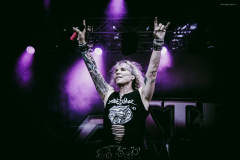 steel_panther-240