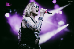 steel_panther-50