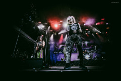 steel_panther-64