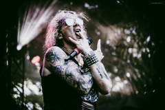 steel_panther-73