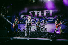 steel_panther-84