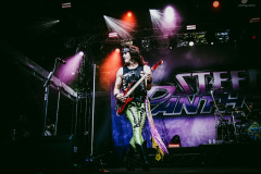 steel_panther-90