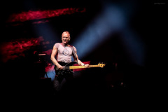 sting2024-12