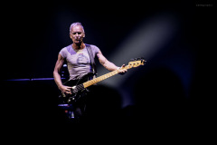 sting2024-13