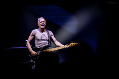 sting2024-14