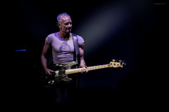 sting2024-16