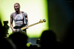 sting2024-18