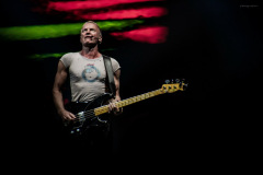 sting2024-19